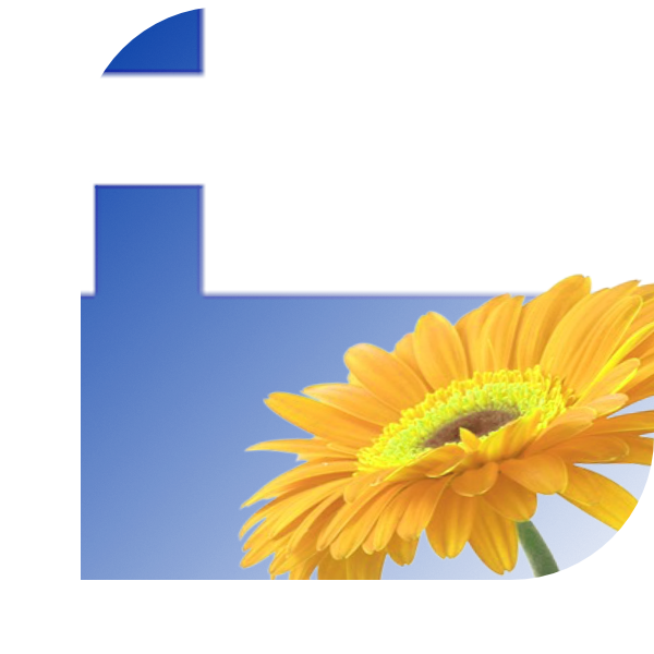 Bloemen bezorgen Warmond