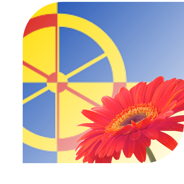 Bloemen Bezorgen Heusden