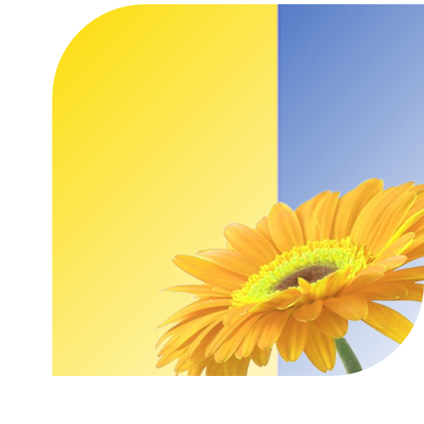 Bloemen Bezorgen Kimswerd