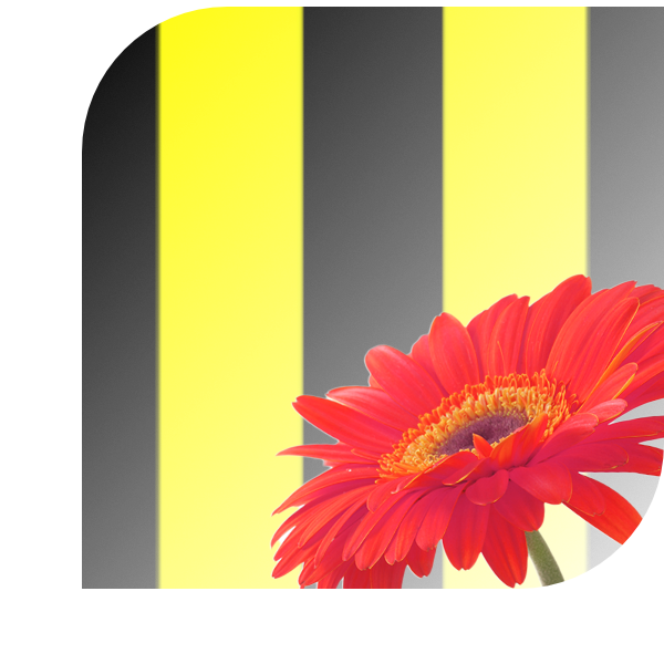 Bloemen Bezorgen Kruiningen
