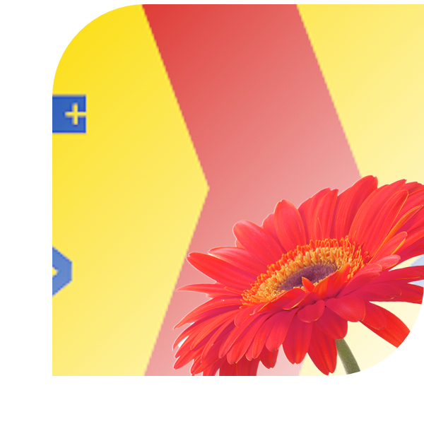 Bloemen bezorgen Axel
