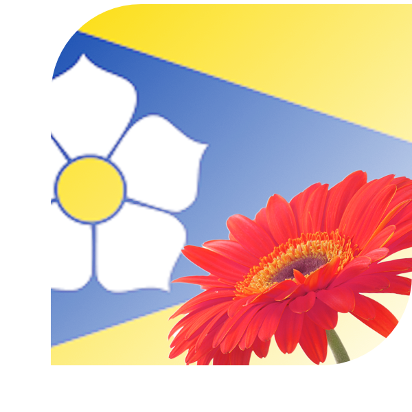 Bloemen bezorgen Sint Odiliënberg