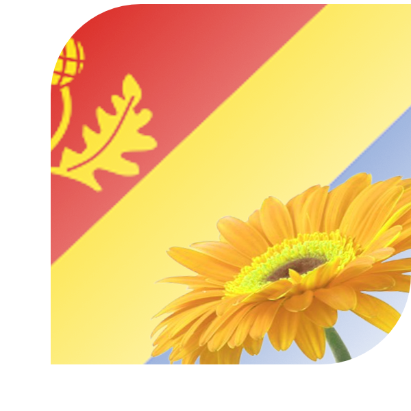 Bloemen Bezorgen Olterterp
