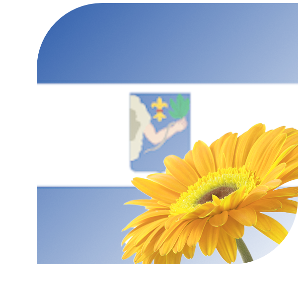 Bloemen Bezorgen Dedemsvaart