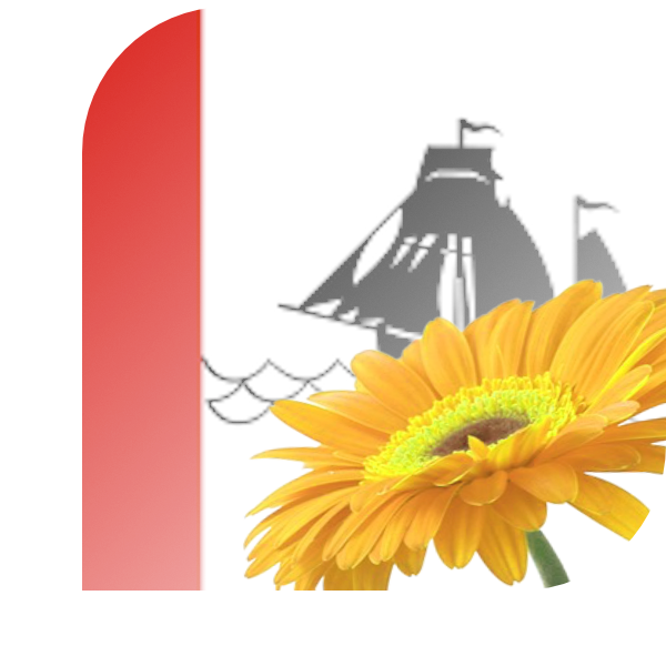Bloemen Bezorgen Pekela