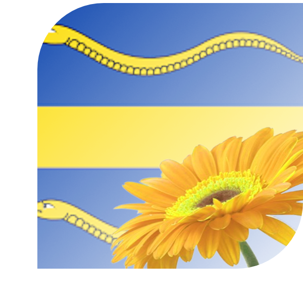 Bloemen Bezorgen Pijnacker