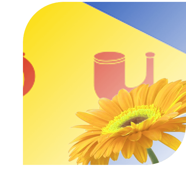 Bloemen Bezorgen Heythuysen