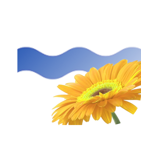 Bloemen bezorgen Beek