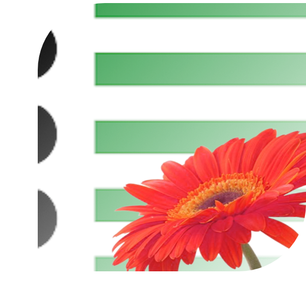 Bloemen bezorgen Bloemendaal