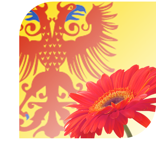 Bloemen bezorgen Dreumel