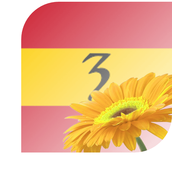 Bloemen bezorgen Zevenaar gld
