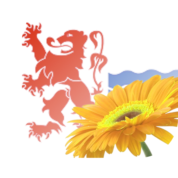 Bloemen Bezorgen Nieuwerkerk aan den IJssel