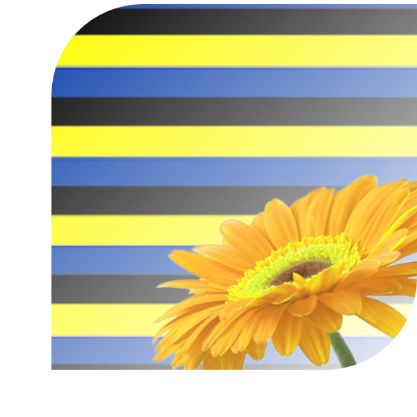 Bloemen bezorgen Zaandam