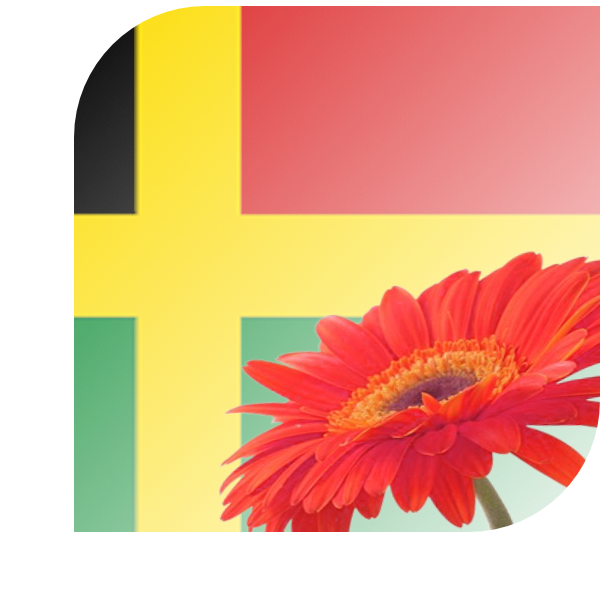 Bloemen bezorgen Wouw