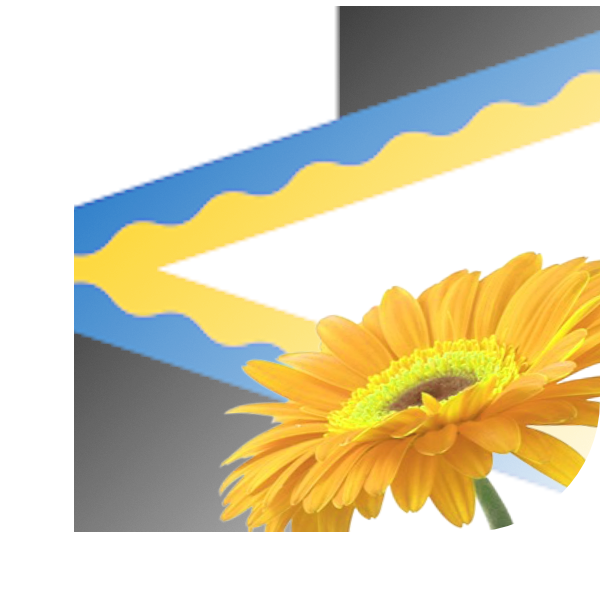 Bloemen bezorgen Westervoort