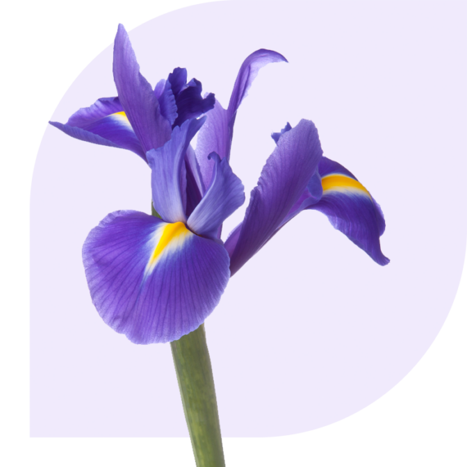 Bloemen bezorgen Waarde