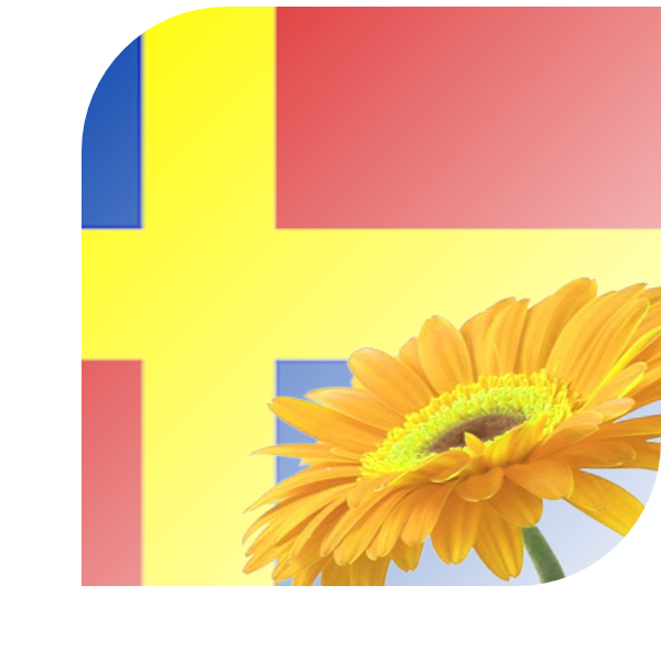 Bloemen bezorgen Vlijmen