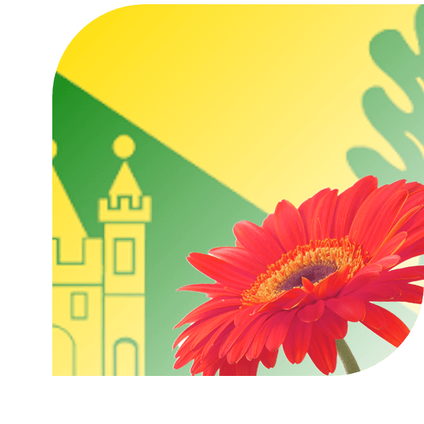 Bloemen bezorgen Velden
