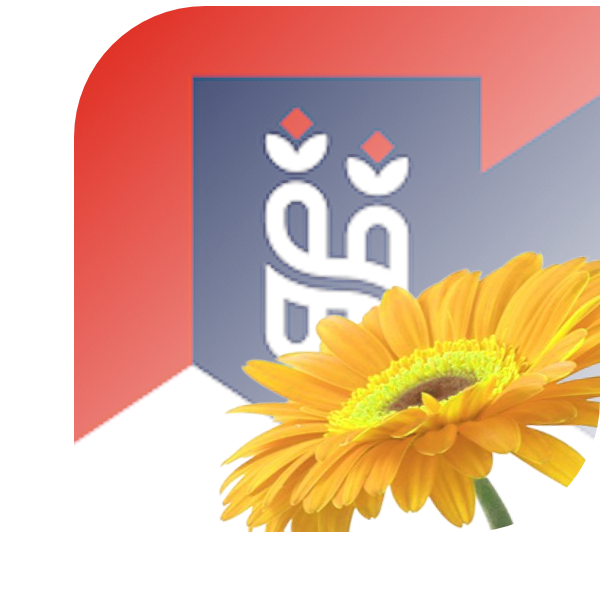Bloemen Bezorgen Hierden