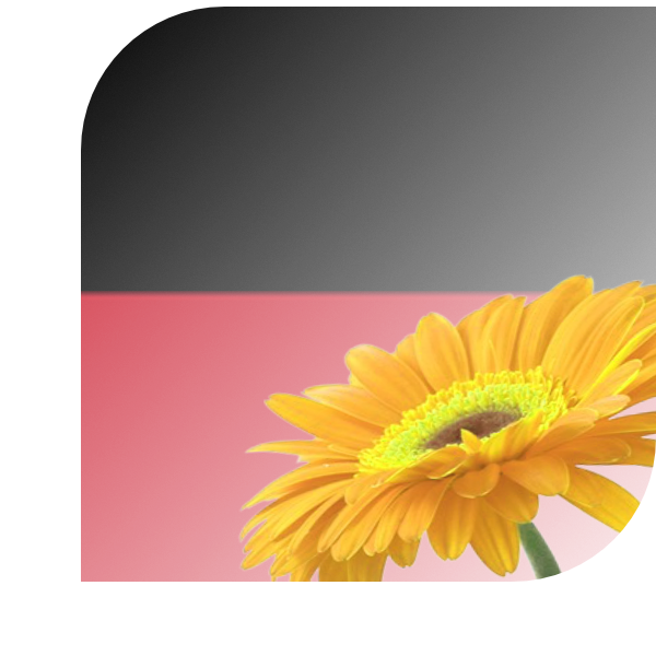 Bloemen bezorgen Nijmegen