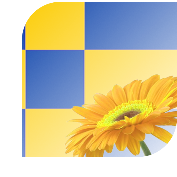 Bloemen bezorgen Tilburg
