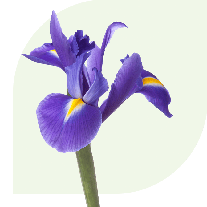 Bloemen bezorgen Soesterberg