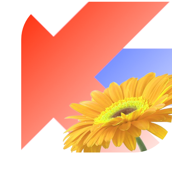 Bloemen bezorgen Voorhout