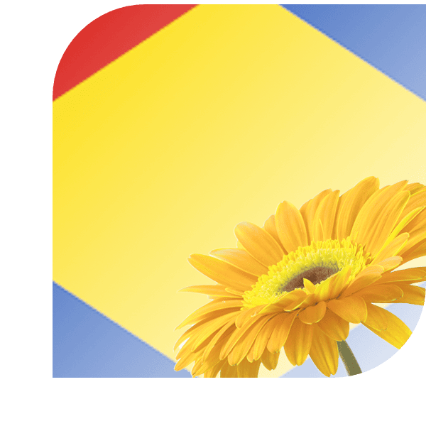 Bloemen bezorgen Brouwershaven