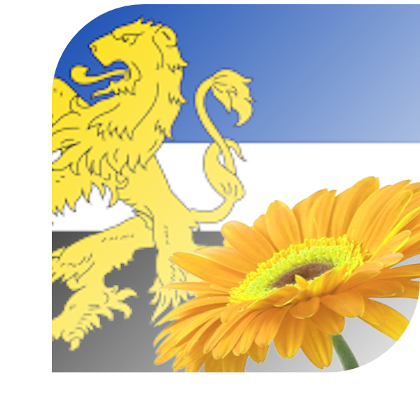 Bloemen Bezorgen Hilvarenbeek