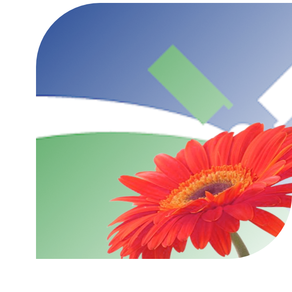 Bloemen Bezorgen Kootwijkerbroek