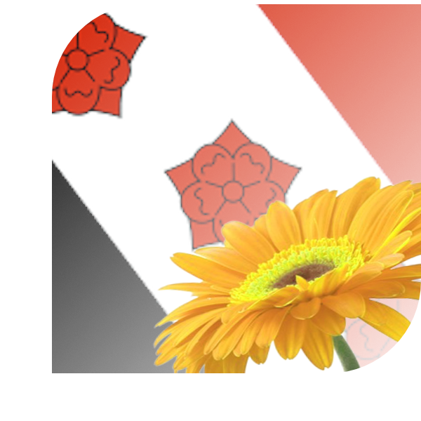 Bloemen Bezorgen Roosendaal