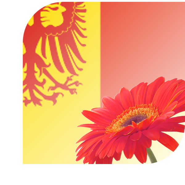 Bloemen Bezorgen Zevenhoven