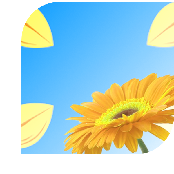 Bloemen Bezorgen Hilversum