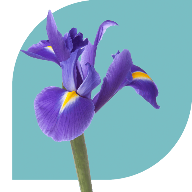 Bloemen Bezorgen Oostdijk