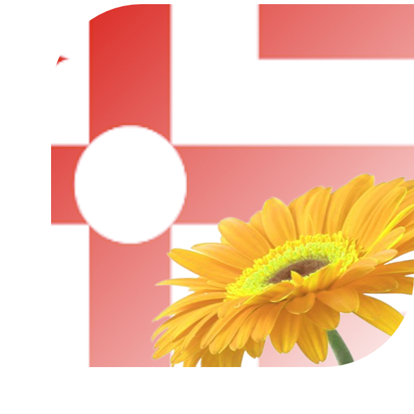 Bloemen Bezorgen Rosmalen