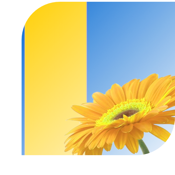 Bloemen bezorgen Esch