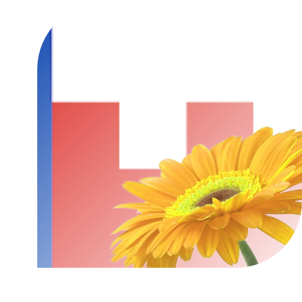 Bloemen bezorgen Goutum