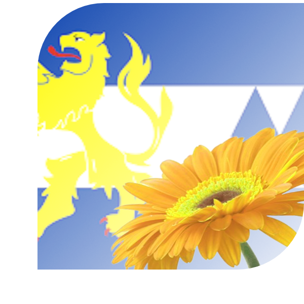 Bloemen bezorgen Susteren