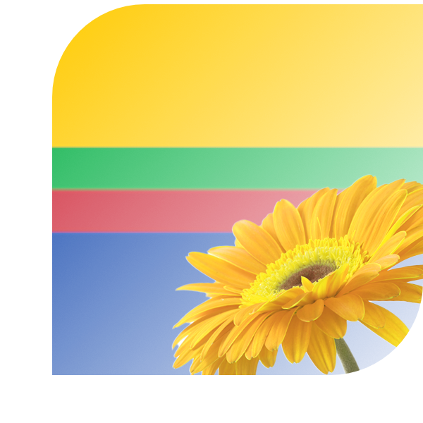 Bloemen bezorgen Appingedam