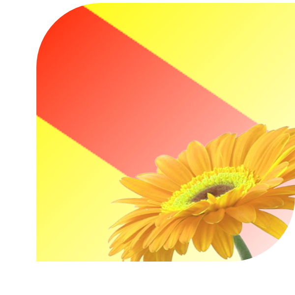 Bloemen Bezorgen Lathum