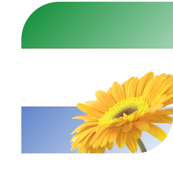 Bloemen bezorgen Benthuizen