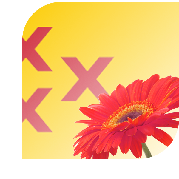 Bloemen bezorgen Strijen