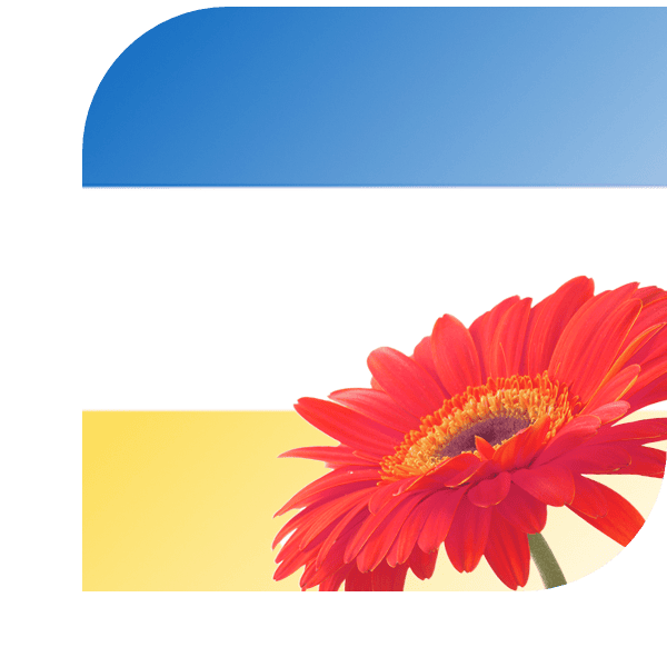 Bloemen bezorgen Spijkenisse
