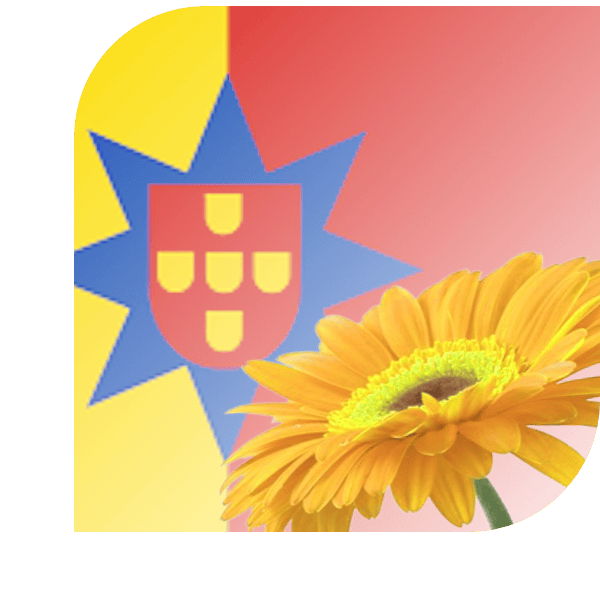 Bloemen Bezorgen Poortugaal
