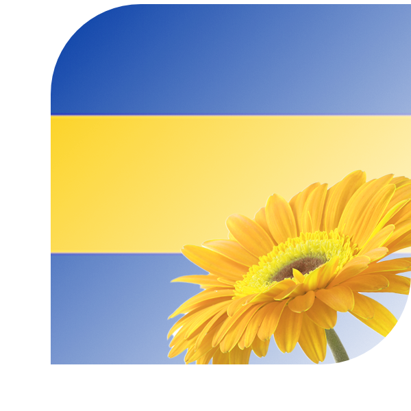 Bloemen bezorgen Velp
