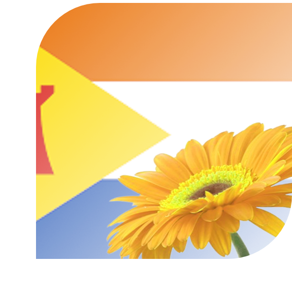 Bloemen Bezorgen Hoek