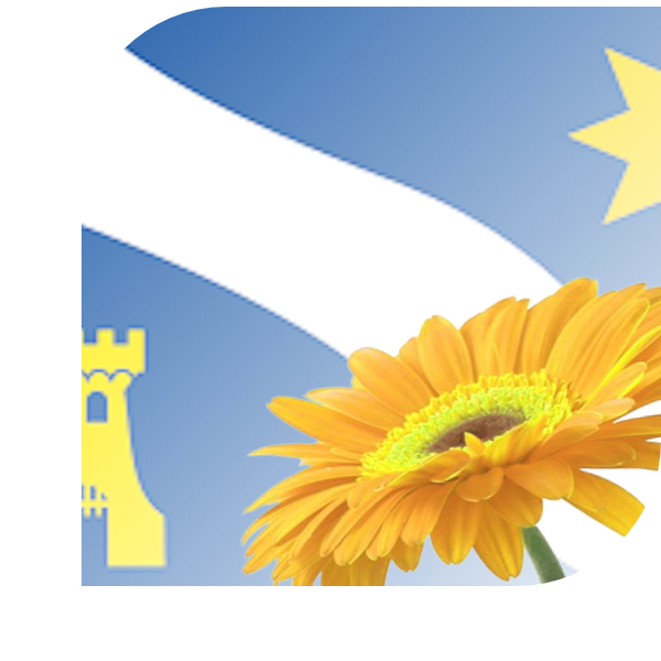 Bloemen bezorgen Alphen aan den Rijn