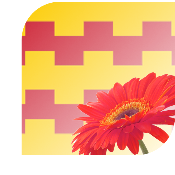 Bloemen Bezorgen Leerdam
