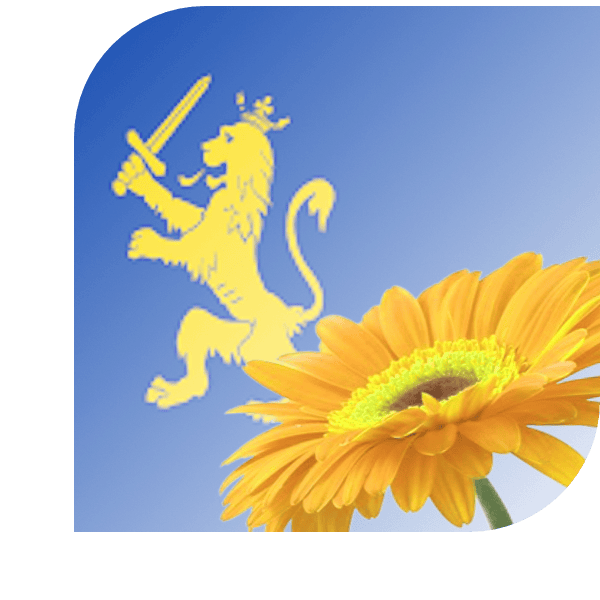 Bloemen Bezorgen Nijkerk