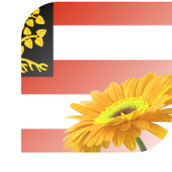Bloemen bezorgen Den Bosch